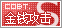 ǮS